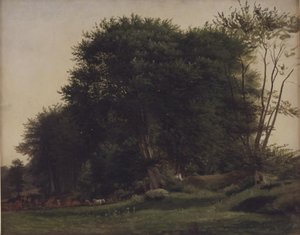 Clairière avec du bétail