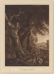 Chênes anciens dans un paysage