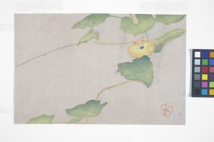 Étude de fleurs, c.1908 - Wilhelmina Seegmiller