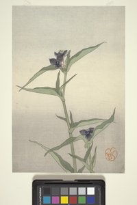 Étude de fleurs, c.1908