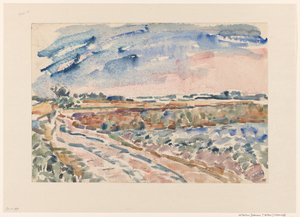 Chemin à travers le paysage