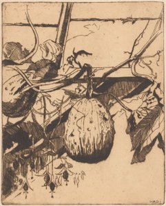 Calebasses et fuchsia - Willem Adrianus Grondhout