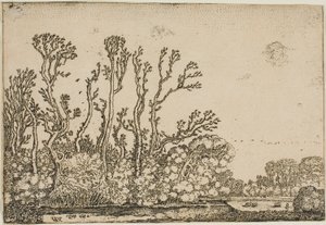 Paysage avec arbres, étang et moutons - Willem Buytewech