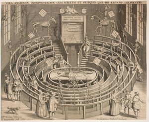 La salle du théâtre anatomique à Leyde