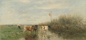 Vaches dans un pré détrempé