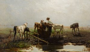 Dutch : Veaux à l