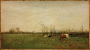 Paysage de prairie - Willem Maris