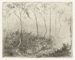 Paysage forestier - Willem Matthias Jan van Dielen