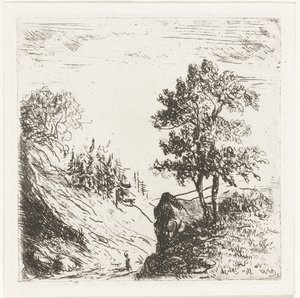 Paysage vallonné avec deux arbres sur un rocher