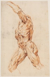 Étude anatomique (écorchés). Homme écorché marchant tourné vers la gauche