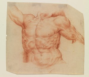 Vue de face du torse de Laocoon - Willem Panneels