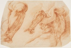Laocoon. Études du bras gauche de Laocoon et du dos de son torse vu de gauche et de dessous