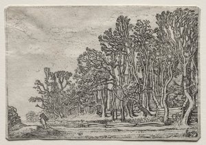Le jeu des paysages : Deux haies de planches - Willem Pietersz Buytewech
