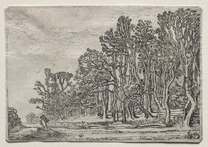 Le jeu des paysages : deux haies de planches, 1616 - Willem Pietersz Buytewech