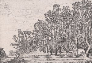 Deux Haies de Planches, de Verscheyden Landtschapjes Divers Petits Paysages, Planche 6 - Willem Pietersz. Buytewech