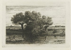 Pêcheur près des saules têtards