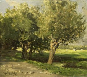 Saules