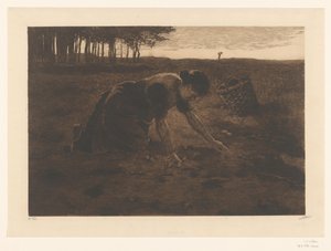 Ramasseuse de pommes de terre agenouillée