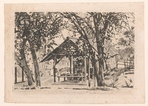 Bâtiment annexe entre deux arbres à Java