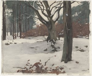 Arbres dans la neige - Willem Arnoldus Witsen