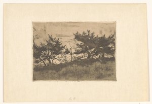 Arbres sur une colline - Willem Arnoldus Witsen