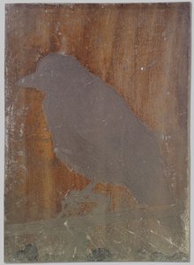 Le corbeau Ina - Willem Arnoldus Witsen