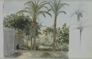 Oasis avec palmiers - Willem de Famars Testas