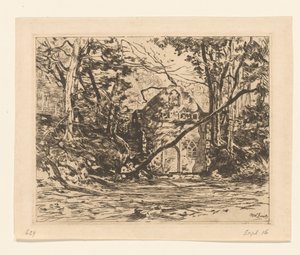 Ruine dans une forêt