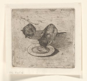 Deux chats, un buvant dans une assiette
