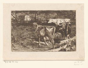 Quatre vaches dans un pré