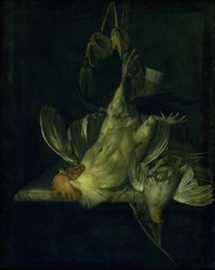 Un coq blanc mort