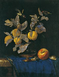 Nature morte avec fruits