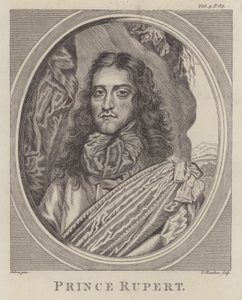 Prince Rupert du Rhin, soldat allemand qui a combattu du côté royaliste pendant la guerre civile anglaise - William (after) Dobson