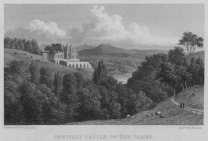 Château de Pentilly sur le Tamer