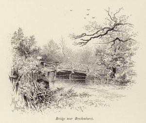 Pont près de Brockenhurst