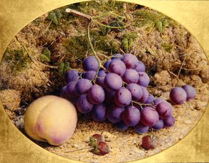 Raisins et pêche sur une berge mousseuse