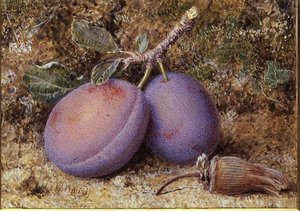 Prunes et une noisette