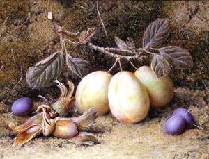 Nature morte avec prunes et noix - William B. Hough