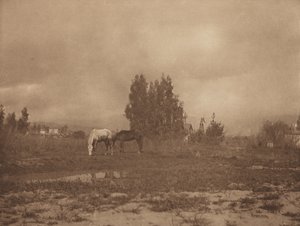 Paysage de Pasadena