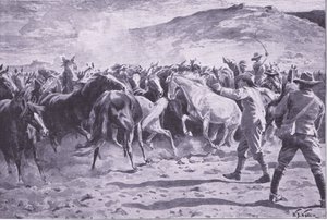La capture des chevaux dans le district de Brandwater près de Fouriesburg : rassemblement du troupeau, illustration de Après Pretoria : La guerre de guérilla, 1902 - William Barnes Wollen