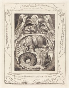 Béhémoth et Léviathan - William Blake