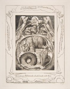 Béhémoth et Léviathan, des Illustrations du Livre de Job, 1825-26