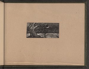 Arbre foudroyé et cultures aplaties - William Blake