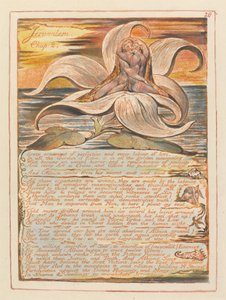 Jerusalem, Kapitel 2. Jeder Schmuck der Vollkommenheit... (Platte 28) - William Blake