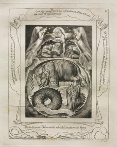 Le Livre de Job : Pl. 15, Voici maintenant Béhemoth que j