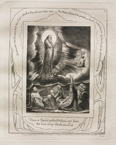 Le Livre de Job : Pl. 9, Puis un esprit passa devant mon visage / les poils de ma chair se hérissèrent