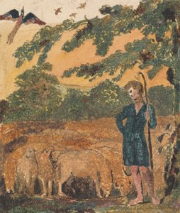 Der Hirte, aus Songs of Innocence - William Blake