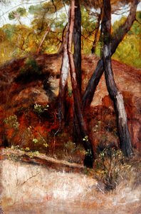 Arbres à Bocca d