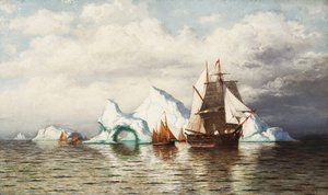 Parmi les icebergs, côte du Labrador