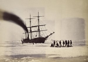 Chasse à la vapeur dans la baie de Melville - William Bradford
